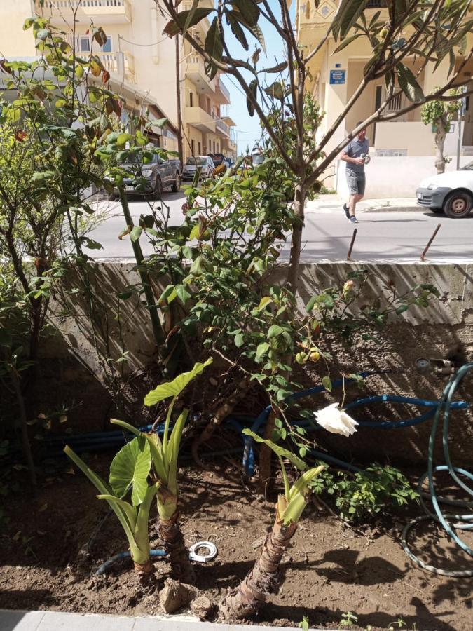 HRYSANTHl Apartment Chania  Ngoại thất bức ảnh